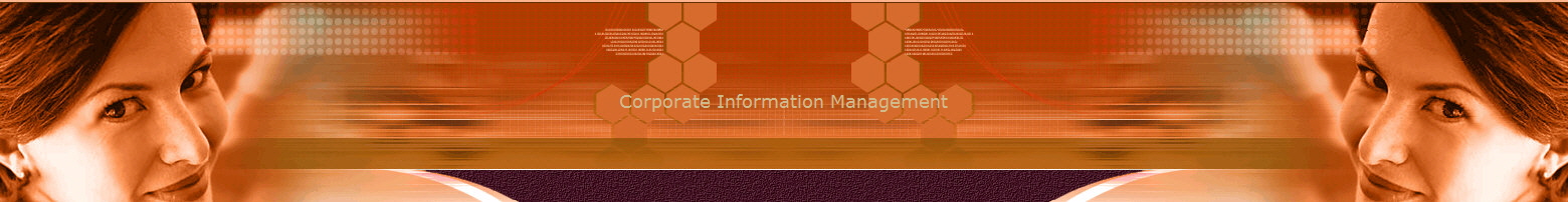Corporate Information Management
