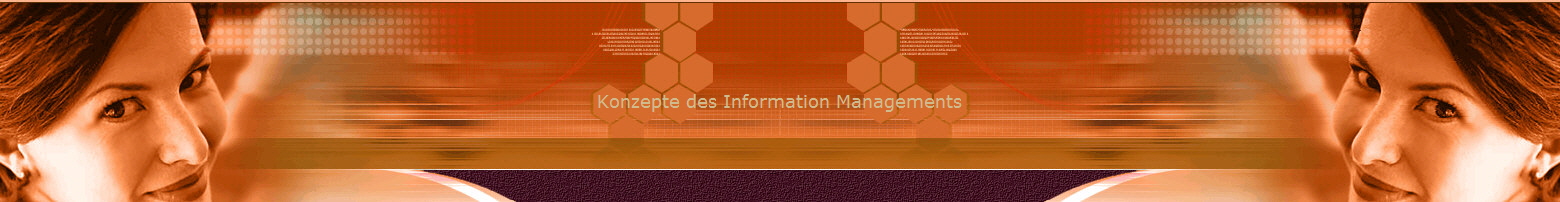 Konzepte des Information Managements