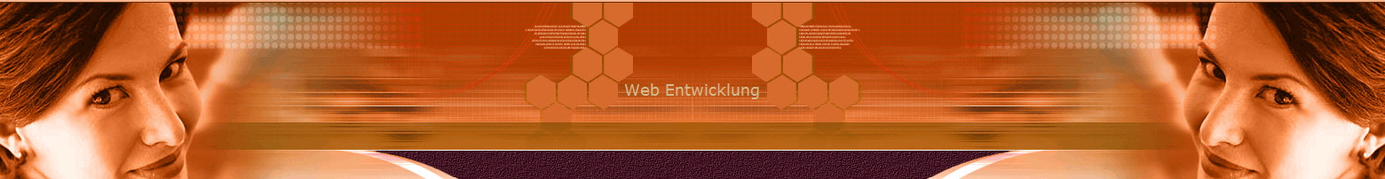 Web Entwicklung