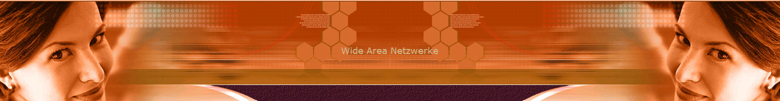 Wide Area Netzwerke